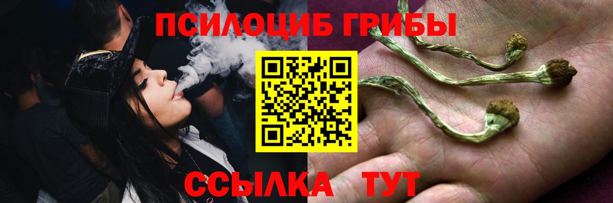 Псилоцибиновые грибы мицелий  Псилоцибиновые грибы мухоморы  Донской 